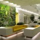 green-office