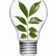 Light bulb with plant