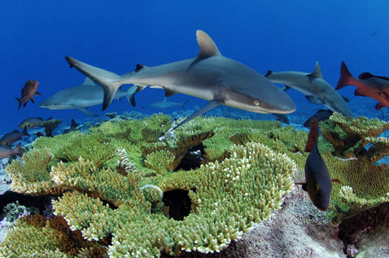 080826 marine monument big ZcGx4 17620 080826 marine monument big ZcGx4 17620