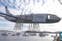 737 dive reef