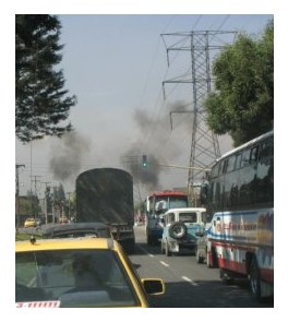 air pollution attacks kids more