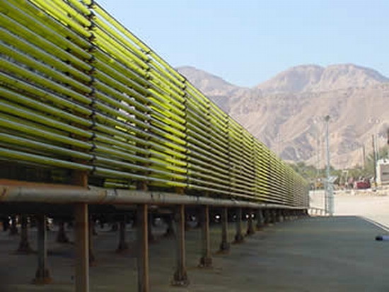 algae biofuel