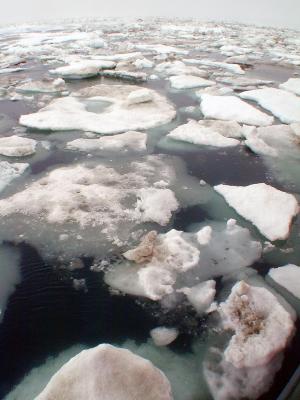 arctic meltdown