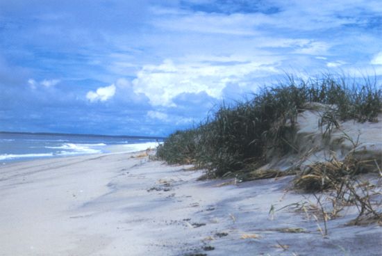 assateague island national seashore