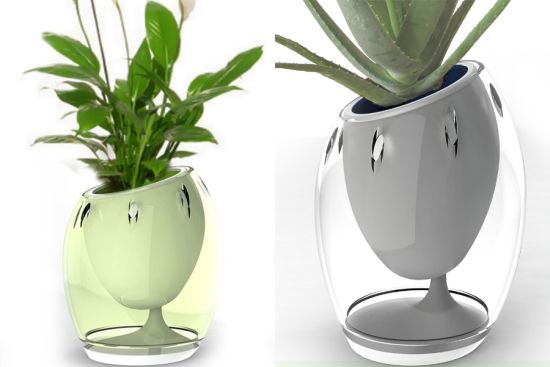 aura organic air filtration