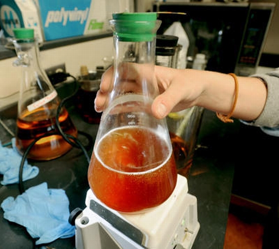 biodiesel biodiesel