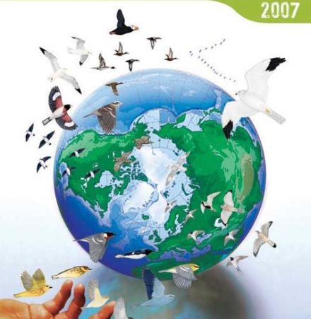 birds in a changing climate