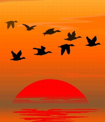 birds learn to fly with a little help from their a