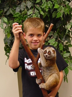 boy loris 3821