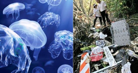 coastal clean up