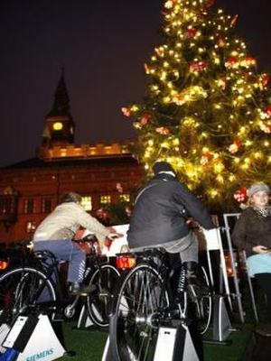 copenhagen tree