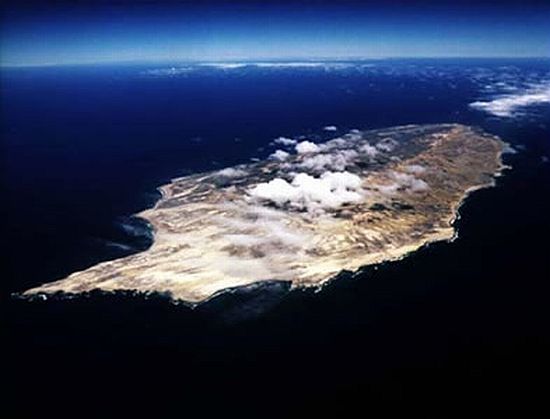 dolphin shaped san nicholas island