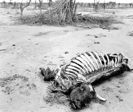 drought hit area