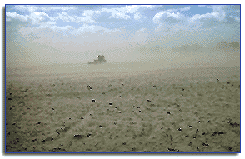 drought in america 246