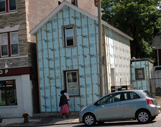 dsc 0210 540x402