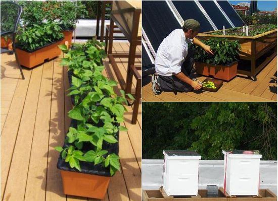 earth boxes