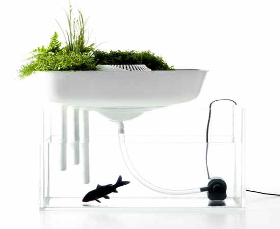 ecosystem ecosystem