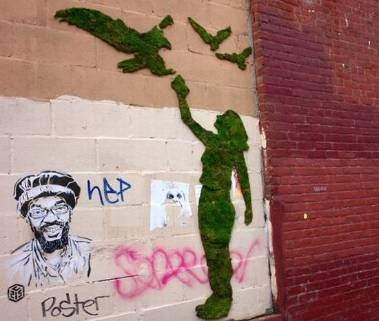 edina tokodi guerilla gardening
