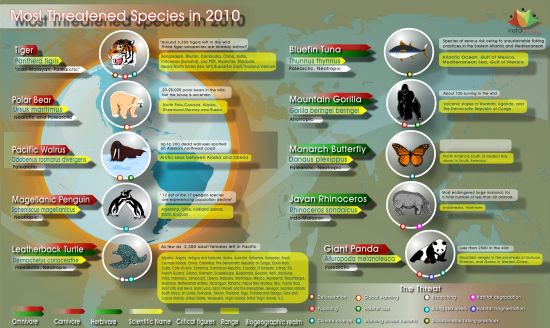 endangeredspeices2010