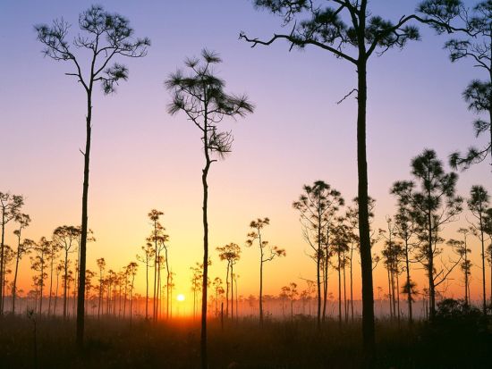 everglades national park