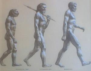 evolution