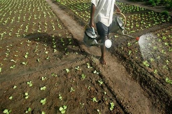 farming vBsvK 2263 farming vBsvK 2263