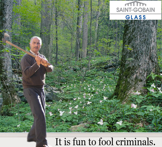 fool criminals