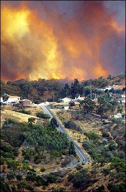 forest fires in south africa