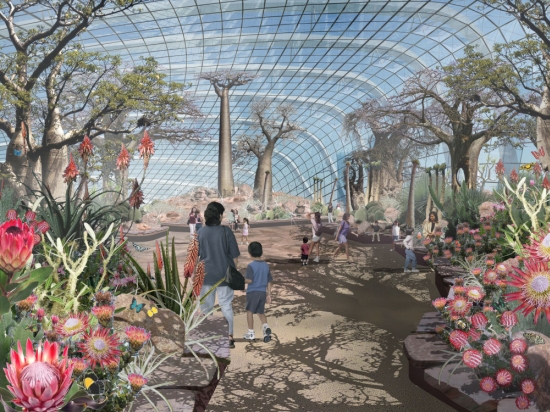 gardens by the bay4