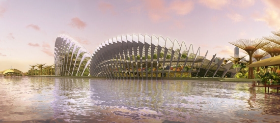 gardens by the bay5