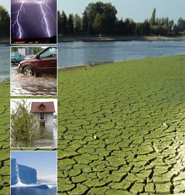 global climate change effects
