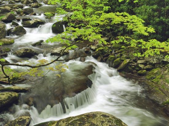 great smoky mountains national park