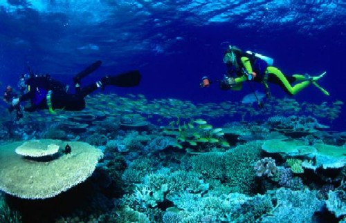 greatbarrierreef1