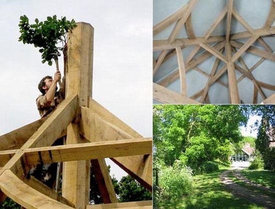 green oak pavilion