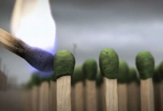 greenpeace deforestation