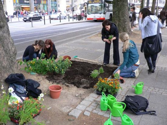guerilla gardening cans and plants