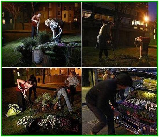 guerilla gardening skills