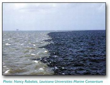 gulf of mexico dead zone could expand this year gulf of mexico dead zone could expand this year