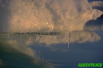 ice melting in antarctica 9