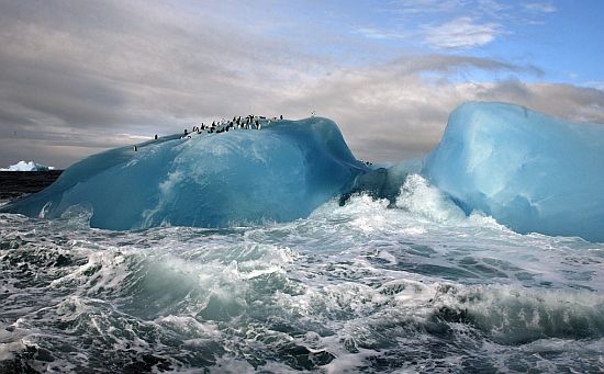 iceberg 13 iceberg 13