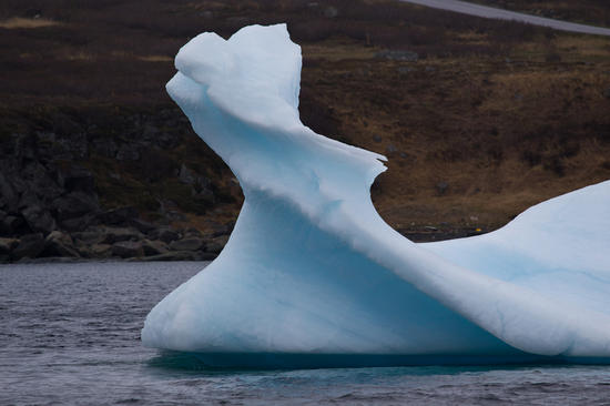 iceberg 22 iceberg 22