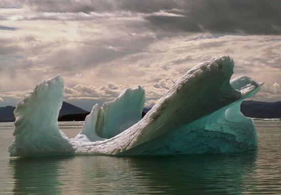 iceberg 25 iceberg 25