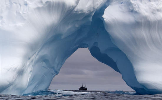 iceberg 36 iceberg 36