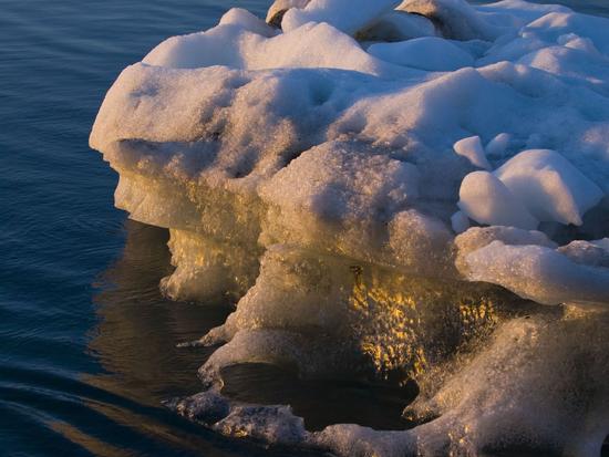 iceberg 41 iceberg 41