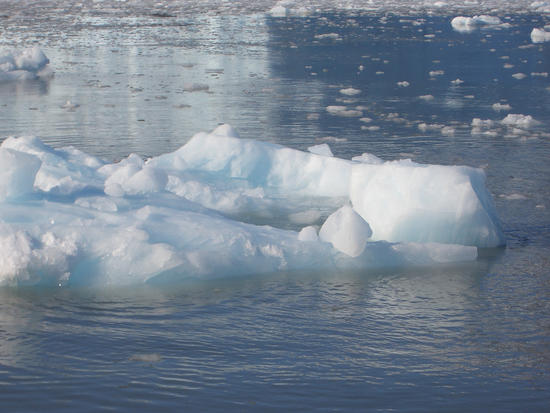 iceberg 42 iceberg 42
