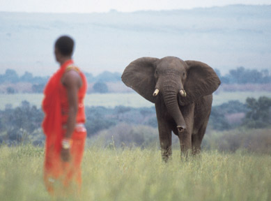 kenya