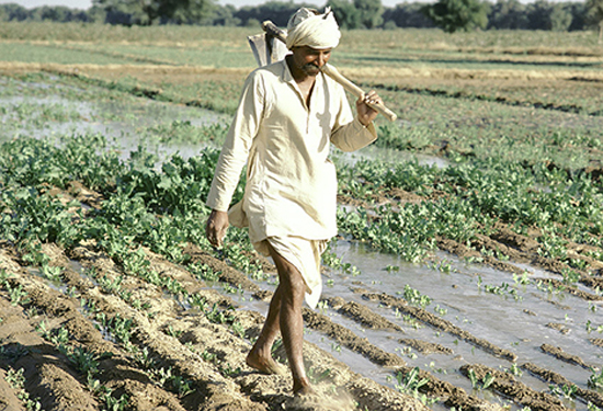 land PFSnz 17620
