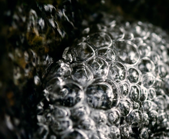 micro bubbles