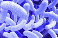 microbes microbes