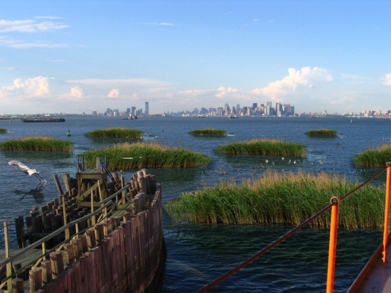 moma palisadebay zone2